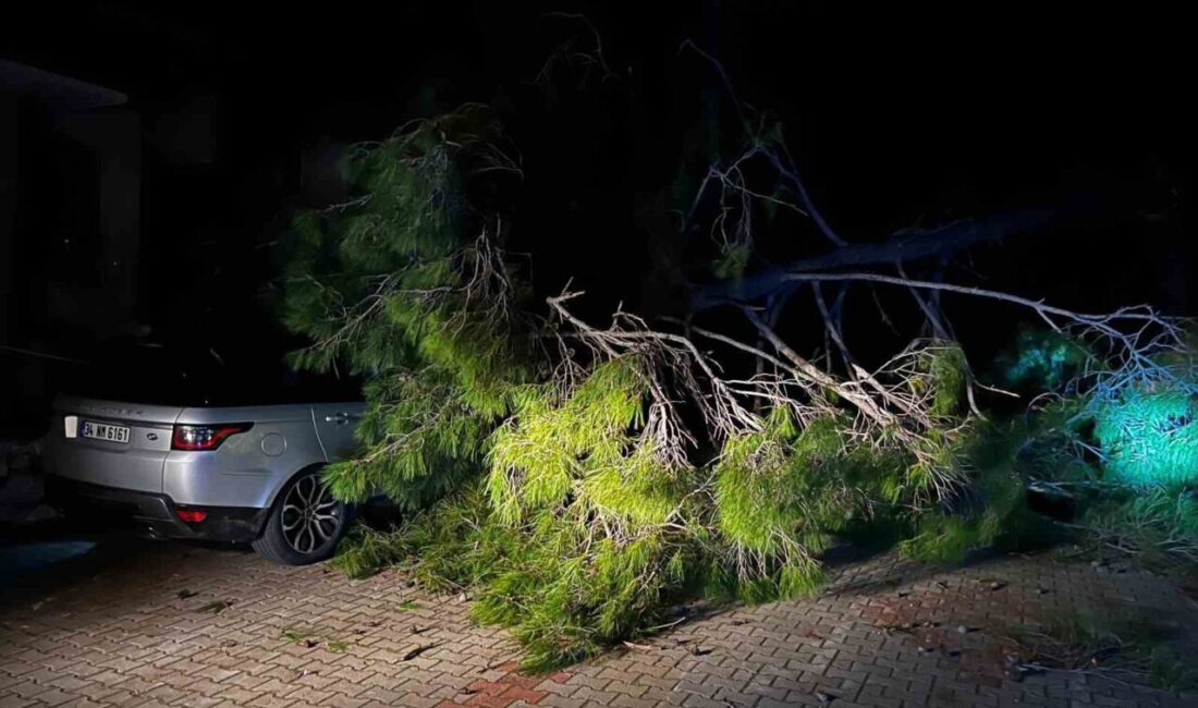 Muğla’nın Marmaris ilçesinde meydana gelen şiddetli fırtına yaşamı olumsuz etkiledi.