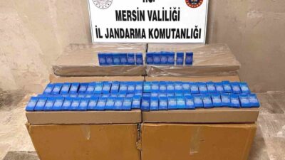 Mersin şehrinde, jandarma ekipleri tarafından gerçekleştirilen operasyonda 10 bin 500
