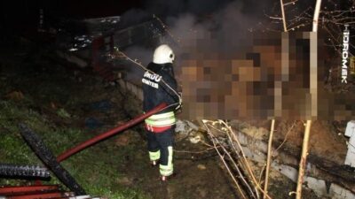Ünye ilçesinde bir ahırda meydana gelen yangında, dumanlar ve alevler