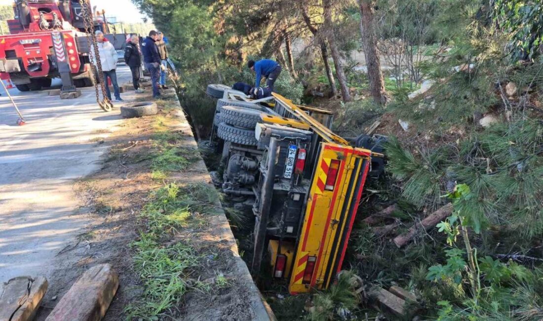 Bodrum ilçesinde meydana gelen trafik kazasında bir vincin şarampole devrilmesi