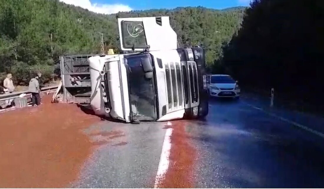 Antalya’nın Akseki ilçesinde, peyzaj malzemesi yüklü bir tırın devrilmesi sonucu
