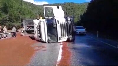 Antalya’nın Akseki ilçesinde, peyzaj malzemesi yüklü bir tırın devrilmesi sonucu