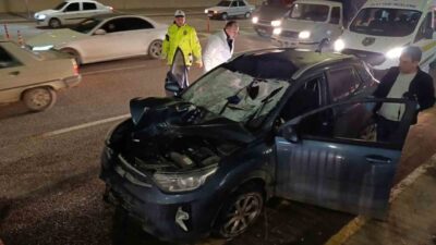 Şanlıurfa’da yaşanan kaza sonucunda bir yayayı ezen araç sürücüsü gözaltına