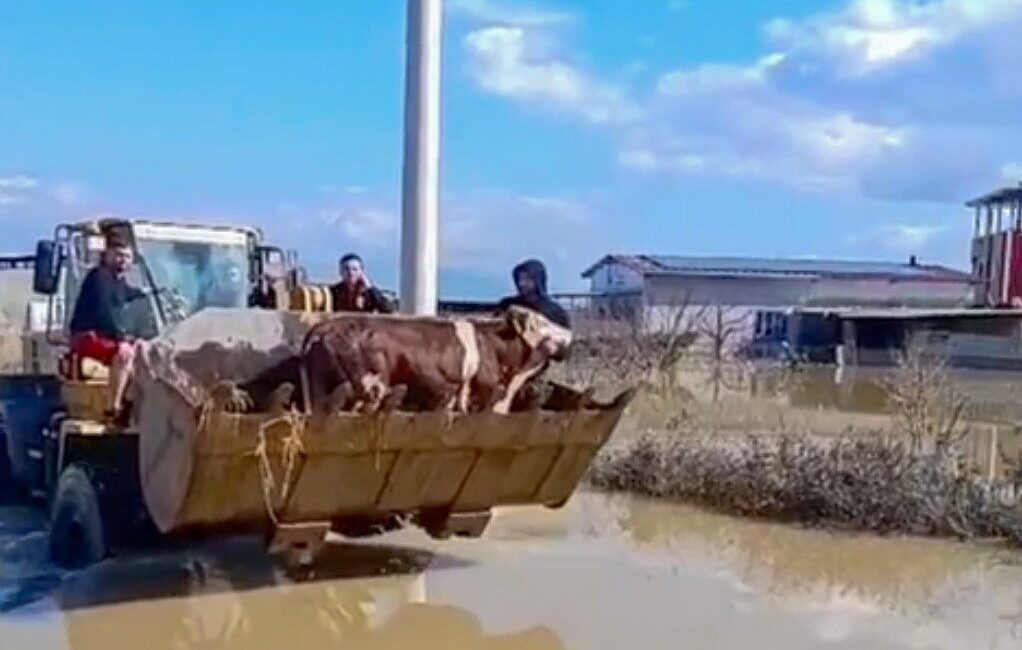 Manisa’nın Şehzadeler ilçesinde, Gediz Nehri’nin taşması nedeniyle sel suları altında