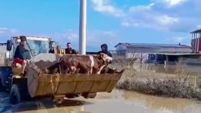 Manisa’nın Şehzadeler ilçesinde, Gediz Nehri’nin taşması nedeniyle sel suları altında