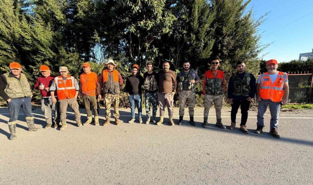 Serik ilçesinde tarım arazilerine zarar veren yaban domuzlarının etkisini azaltmak
