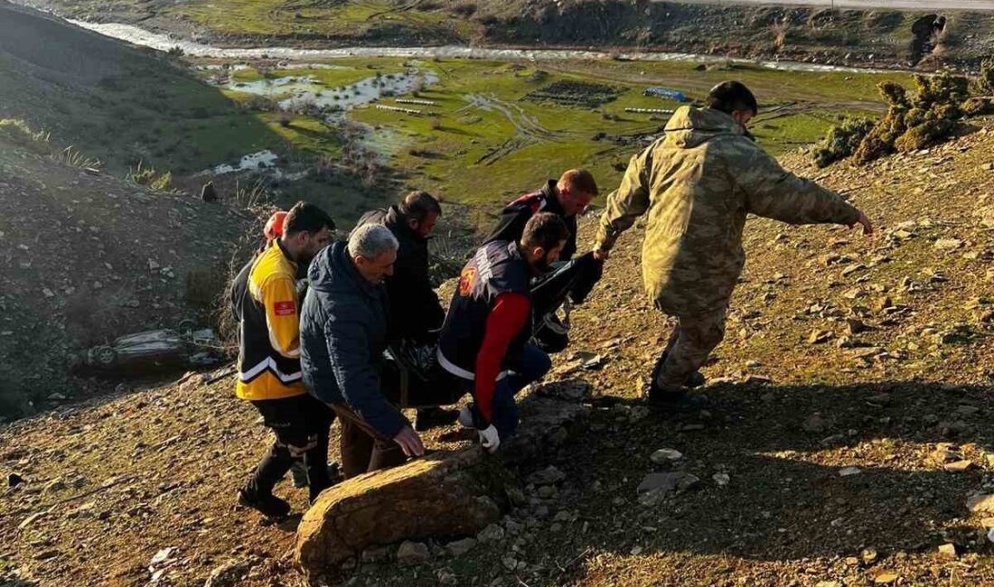Siirt’in Şirvan ilçesine bağlı Bağcılar Mahallesi’nde meydana gelen trafik kazasında,