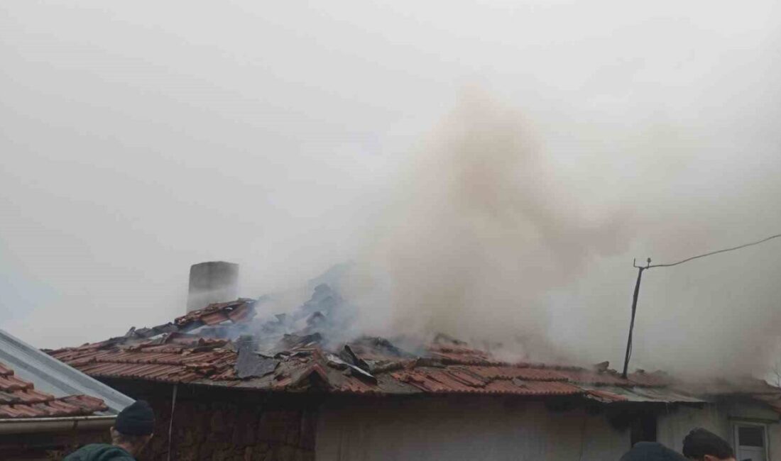 Umurlar Kırsal Mahallesi’ne bağlı Sındırgı ilçesinde yan yana bulunan iki