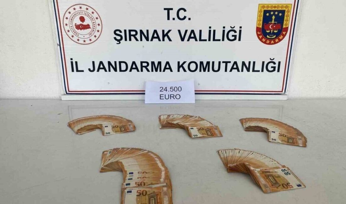 Şırnak İl Jandarma Komutanlığı ekipleri, kaçakçılıkla mücadele ve aranan şahısların