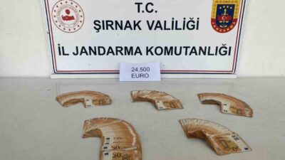 Şırnak İl Jandarma Komutanlığı ekipleri, kaçakçılıkla mücadele ve aranan şahısların
