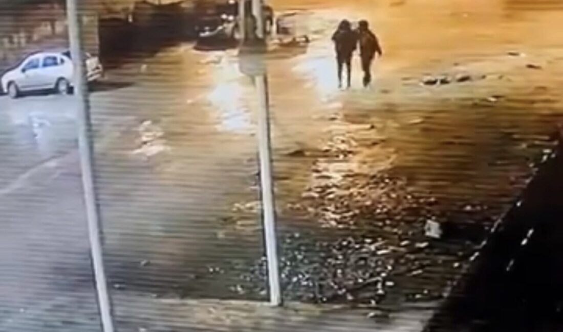 Siverek ilçesindeki Hayriye Mahallesi’nde bir ahırdan 19 koyunun çalındığı anlar
