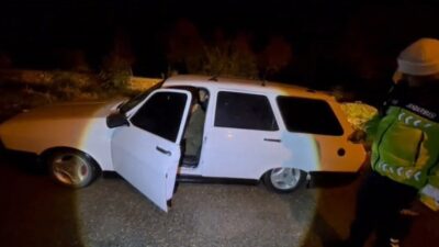 Mersin’in Aydıncık ilçesinde denetim yapan jandarma ekipleri, bir aracın standart