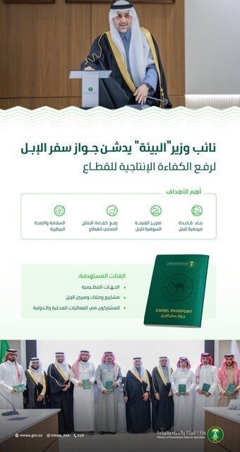 Suudi Arabistan’da yerel develer için pasaport uygulaması hayata geçiriliyor. Suudi