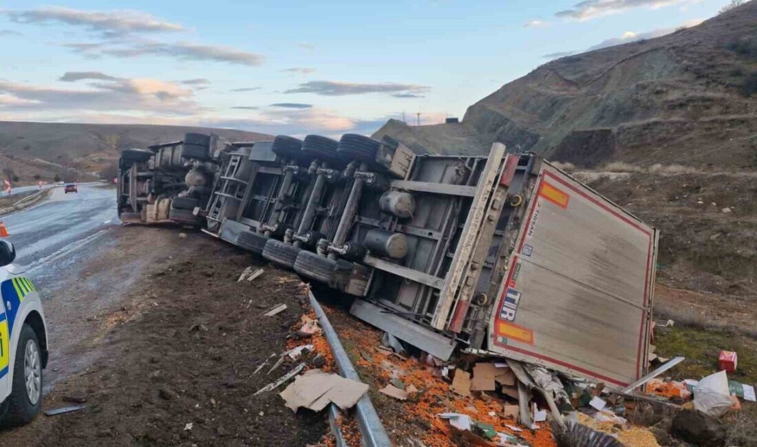 Çorum’un Alaca ilçesinde meydana gelen bir kaza sonucunda bir tırın