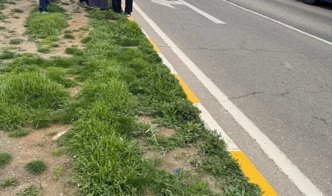 Hatay’da bir yaşlı adam, Antakya – İskenderun yolu Belen ilçe
