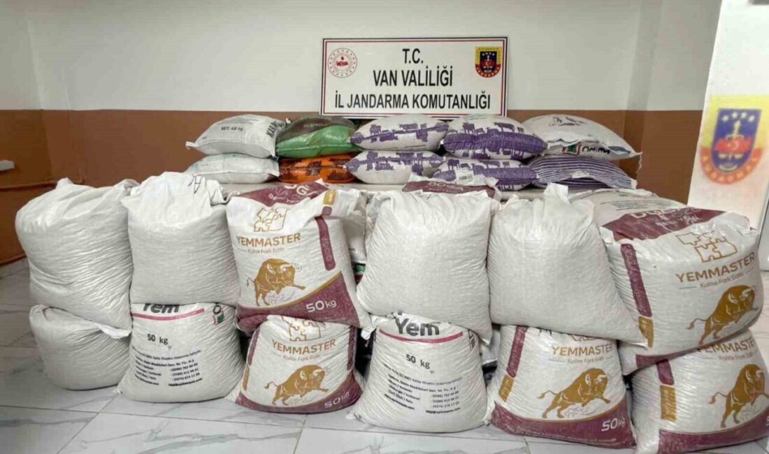 Van’ın Başkale ilçesinde jandarma ekipleri tarafından gerçekleştirilen operasyon neticesinde 3,5