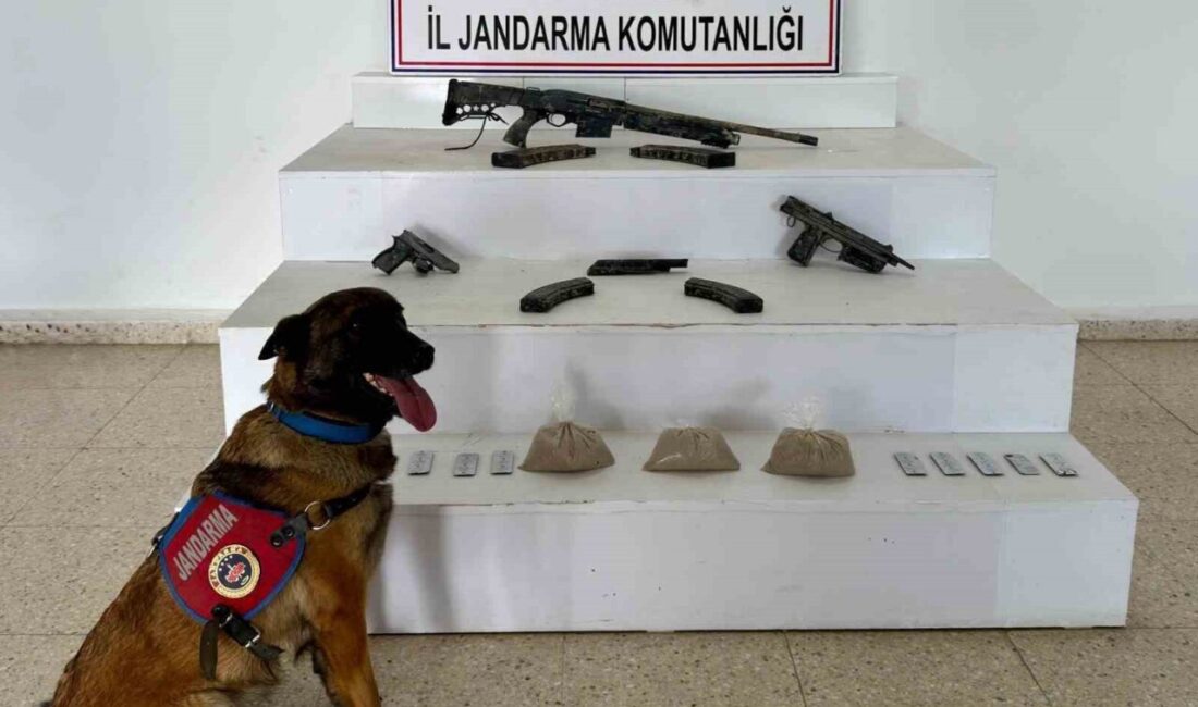 Van’ın Başkale ilçesinde jandarma ekipleri, Esenyamaç Mahallesi’nde bulunan A.Ç.’ye ait