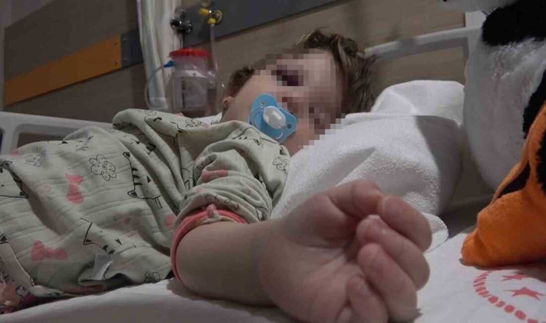 Yalova’nın Çınarcık ilçesinde bir baba, komşularıyla aralarında çıkan gürültü nedeniyle