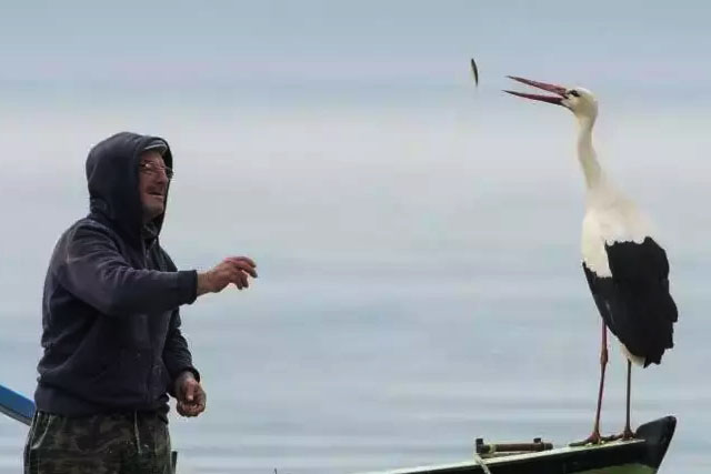 Yaren leylek geldi mi? Yaren leylek geldi mi 2026 yılında?