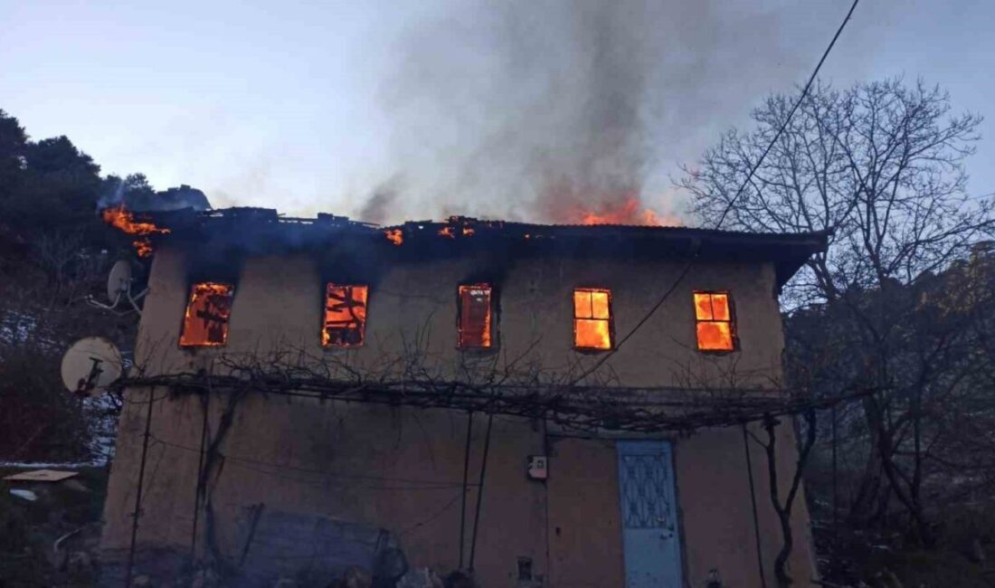 Bursa’nın Gürsu ilçesinde, 83 yaşındaki bir kadın, ikamet ettiği evde