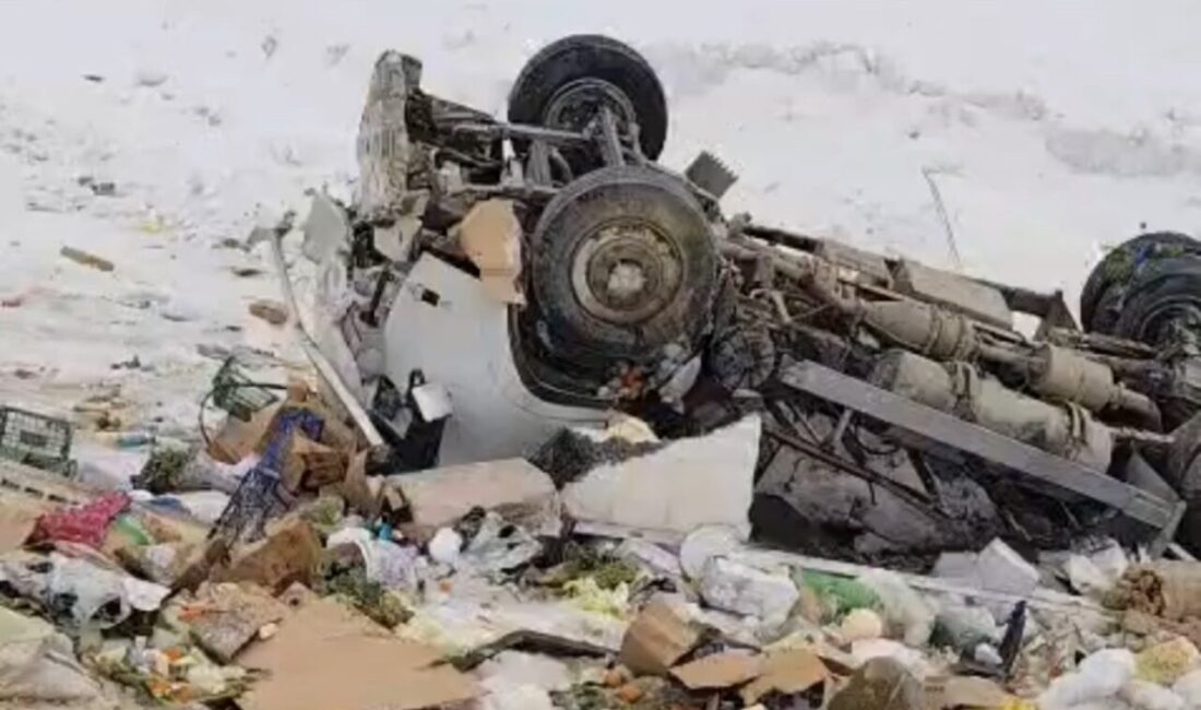 Hakkari’nin Yüksekova ilçesinde meydana gelen bir trafik kazasında kamyonetin şarampole