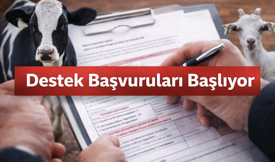 Yerköy İlçe Tarım ve Orman Müdürlüğü, 2025 yılı ikinci dönem