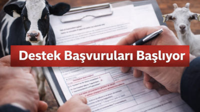 Yerköy İlçe Tarım ve Orman Müdürlüğü, 2025 yılı ikinci dönem