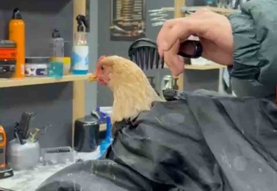 Siirt’in Kurtalan ilçesinde bir berber, sosyal medyada dolaşan “Lo Siento