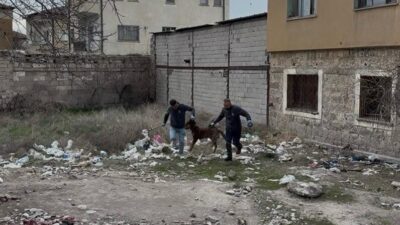 Kayseri’de Ramazan Bayramı’nın ilk gününde sokakta oyun oynarken başıboş bir