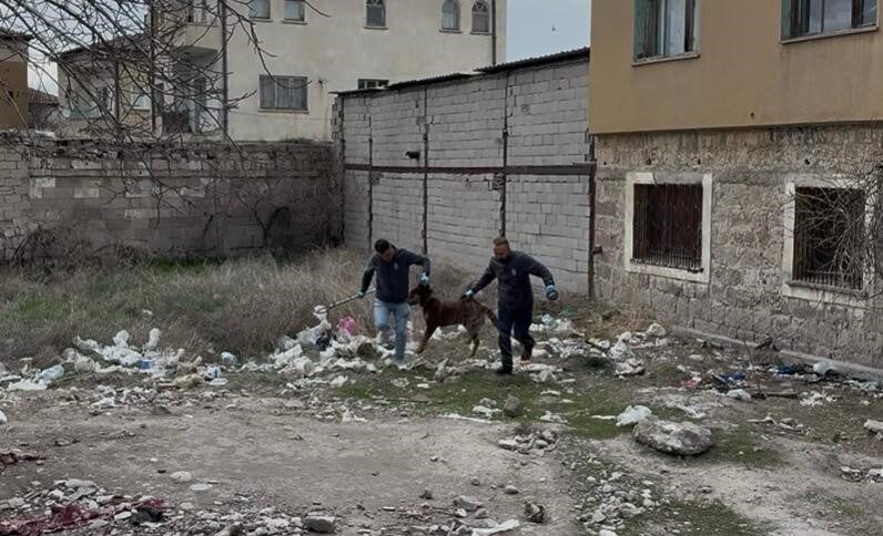 Kayseri’de Ramazan Bayramı’nın ilk gününde sokakta oyun oynarken başıboş bir