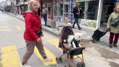 Yerköy’de günlük hayatın içinden renkli bir görüntü objektiflere yansıdı. İlçe