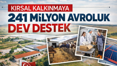 Tarım ve Kırsal Kalkınmayı Destekleme Kurumu (TKDK) tarafından yürütülen IPARD