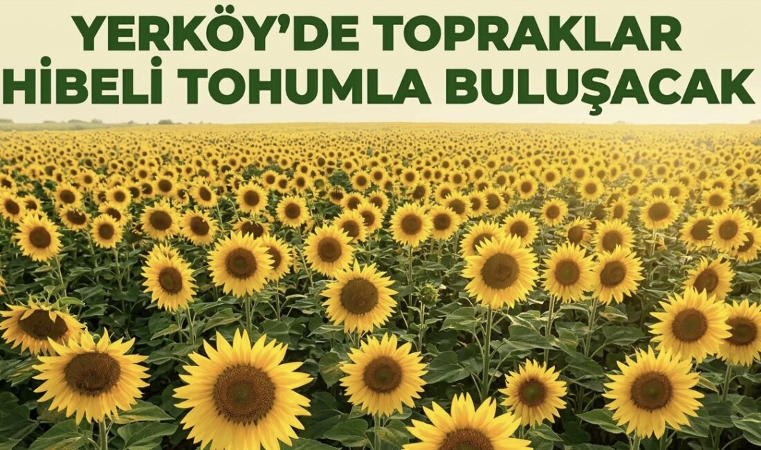 Yerköy İlçe Tarım ve Orman Müdürlüğü, ilçedeki tarım arazilerinin verimini