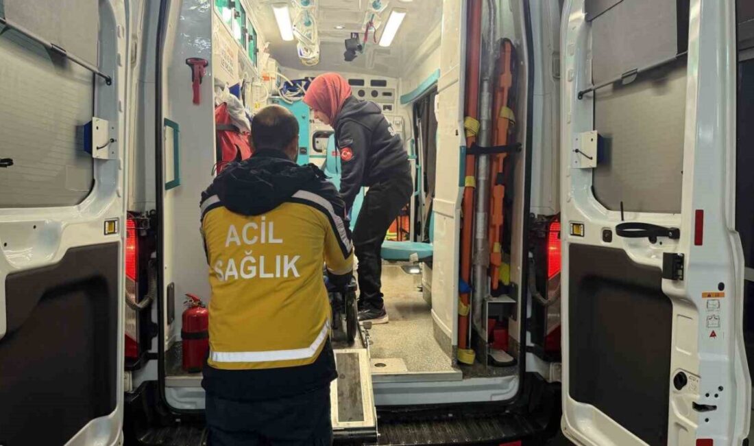 Adıyaman’da meydana gelen trafik kazasında 2 kişi yaralandı. Kazada, Adıyaman