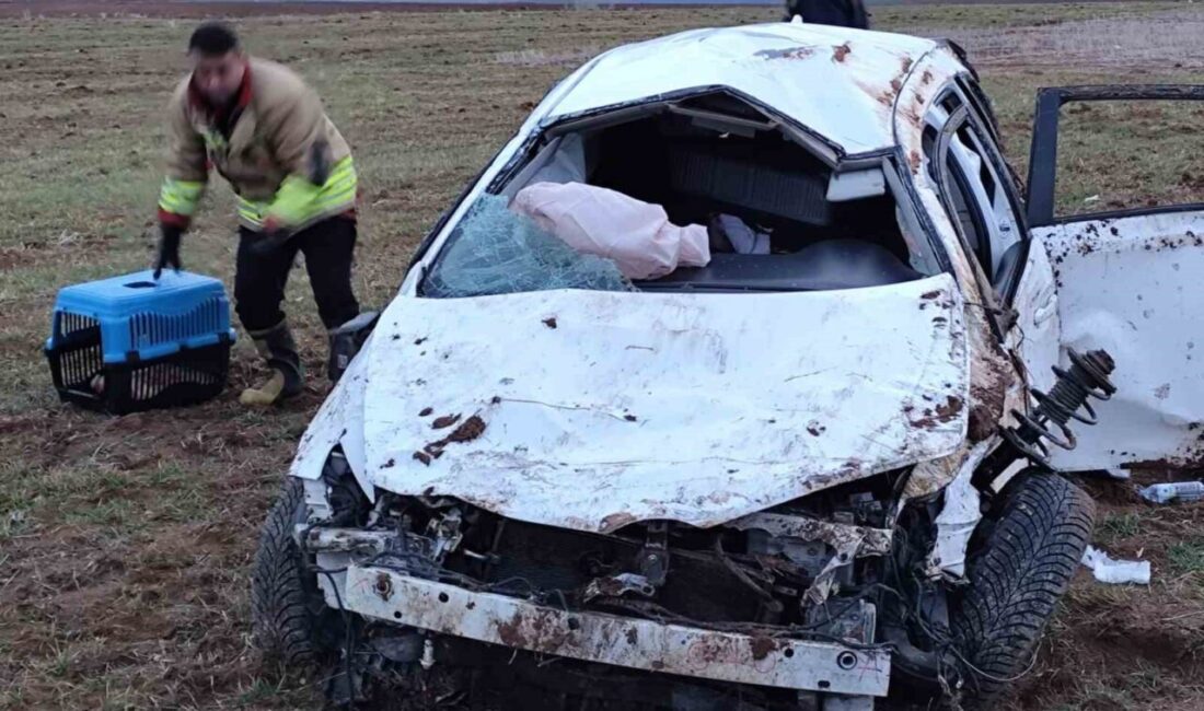 Kahramanmaraş’ın Afşin-Göksun karayolunda meydana gelen bir trafik kazasında 2 kişi