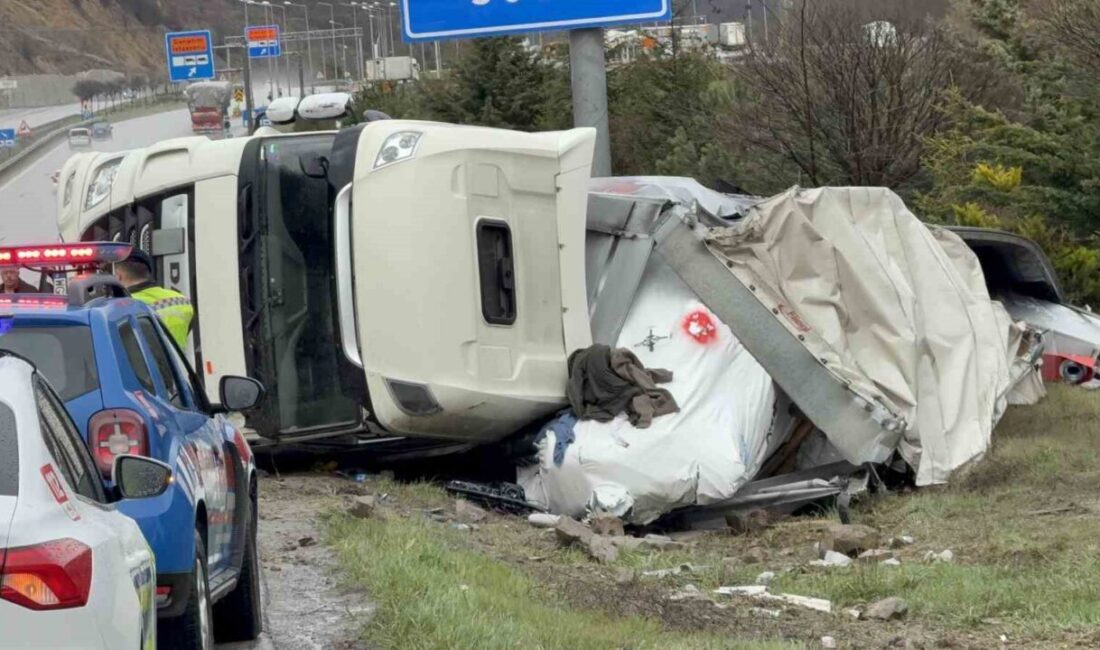 Almanya’dan Türkmenistan’a soğutucu ekipman taşıyan Polonya plakalı bir tırın, Samsun’un