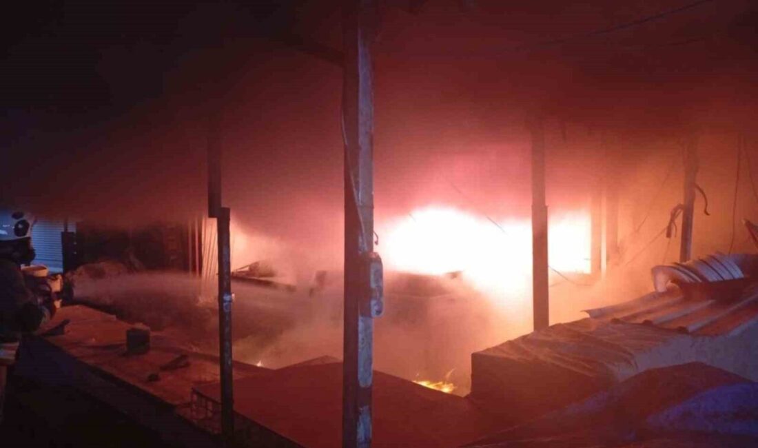 Hatay’ın Antakya ilçesine bağlı Haraparası Mahallesi’nde bir iş yeri, henüz