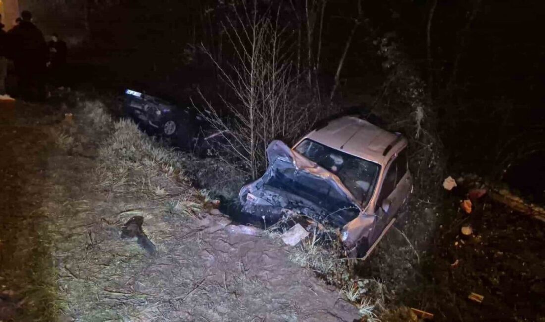 Düzce’de meydana gelen kazada, yağış nedeniyle kayganlaşan yolda çarpışan iki