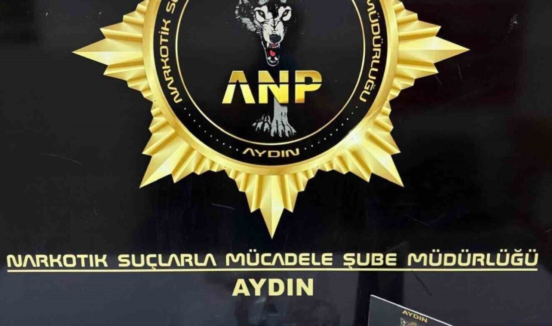 Aydın’ın Efeler ilçesinde polis ekipleri tarafından gerçekleştirilen operasyonda 378 gram