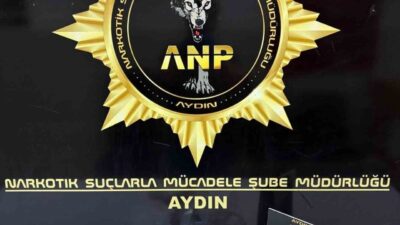 Aydın’ın Efeler ilçesinde polis ekipleri tarafından gerçekleştirilen operasyonda 378 gram