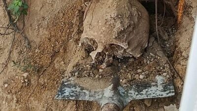 Kocaeli ilinde bir vatandaşın bahçesinde insan kafatası ve kemik bulundu.