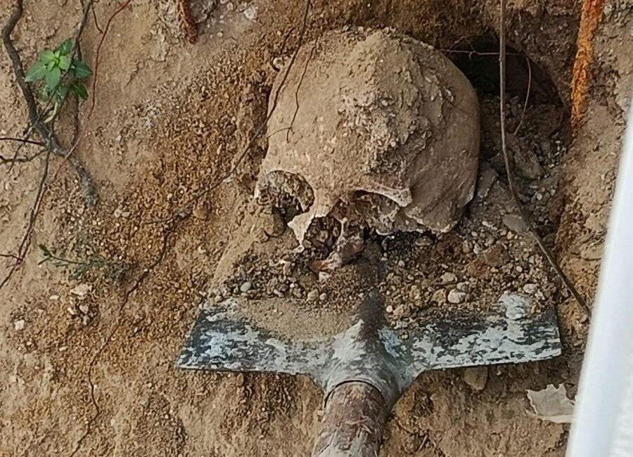 Kocaeli ilinde bir vatandaşın bahçesinde insan kafatası ve kemik bulundu.