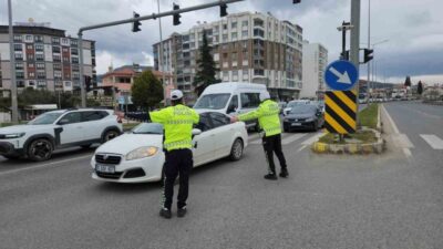 Kuzey Ege bölgesinde, özellikle Balıkesir’in Edremit, Burhaniye ve Ayvalık ilçelerinde