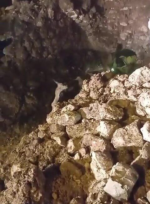 Batman’ın Gercüş ilçesinde şiddetli bir fırtına sonucu altı ahırı olan