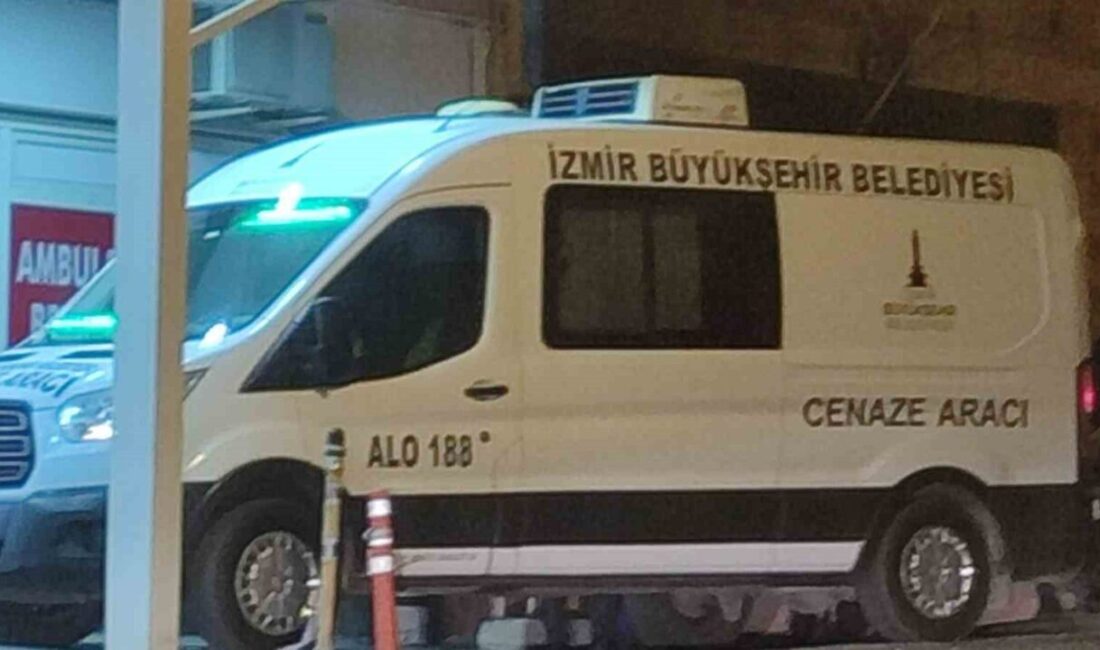 İzmir’in Bayındır ilçesine bağlı Sarıyurt Mahallesi’nde bir trajedi yaşandı. Hilmi