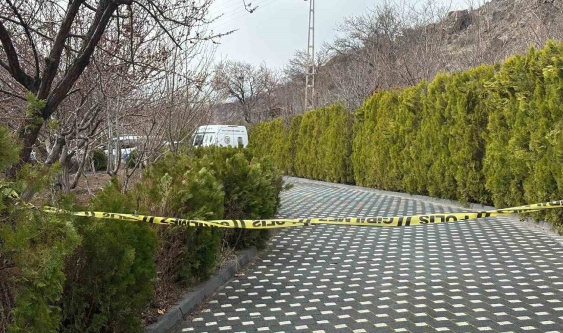 Kayseri’nin Melikgazi ilçesinde bir birey, kendisini bahçede bulunan bir ağaca