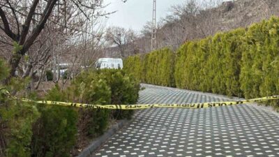 Kayseri’nin Melikgazi ilçesinde bir birey, kendisini bahçede bulunan bir ağaca