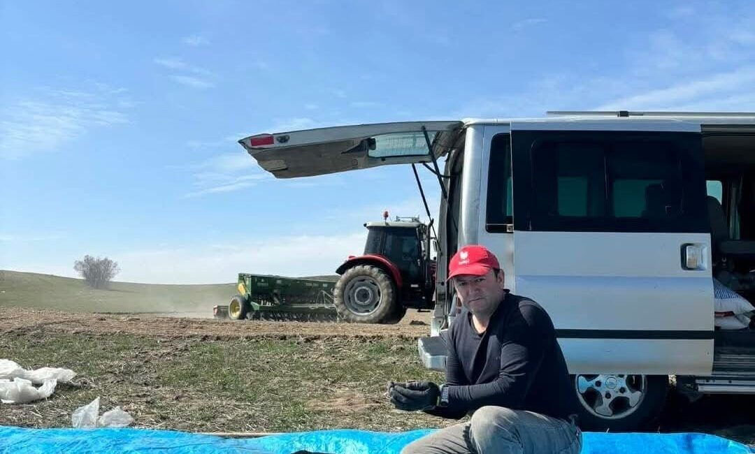 Beypazarı’nda Çörek Otu Üretimi Başladı Ankara’nın Beypazarı ilçesinde, Oymaağaç Mahallesi’nde