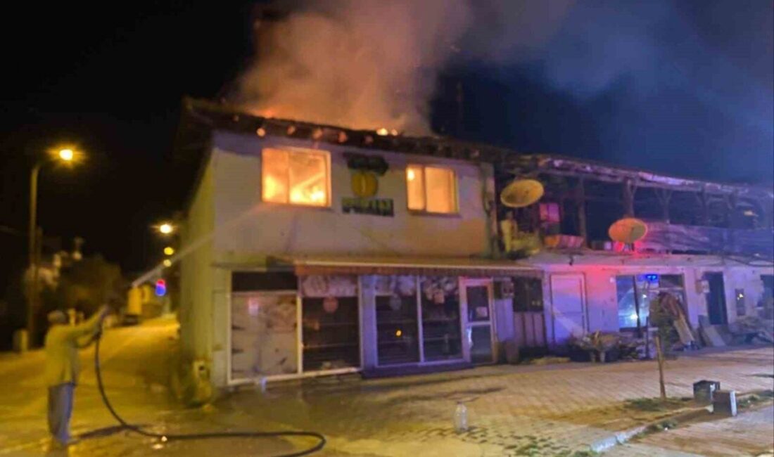 Bilecik’in Bayırköy beldesinde meydana gelen yangında bir ev kullanılamaz duruma