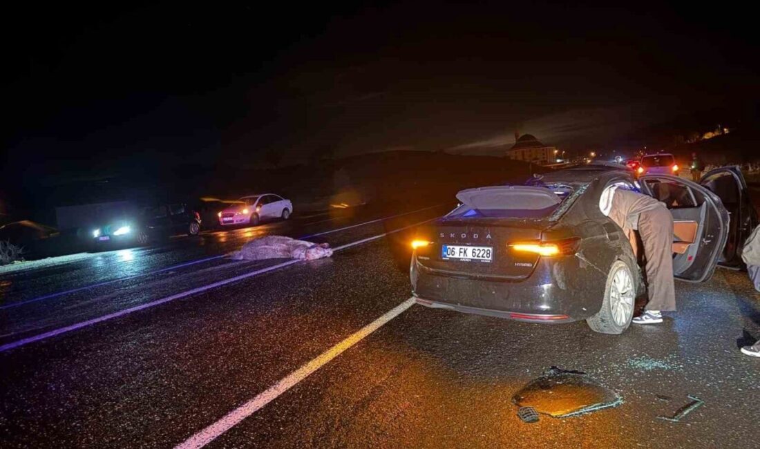 Bingöl ilinde, bir otomobilin ata çarpması sonucu meydana gelen trafik